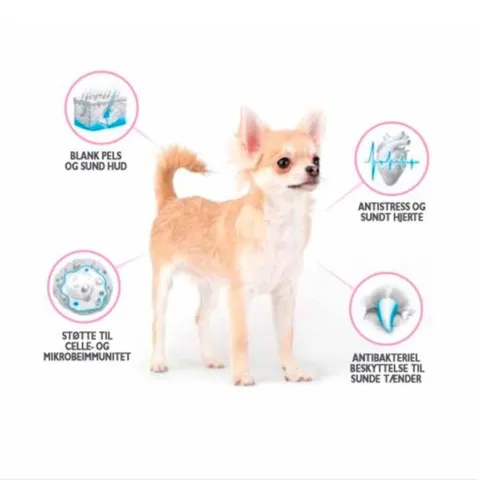 Brit Care Mini Grain Free Puppy Lamb