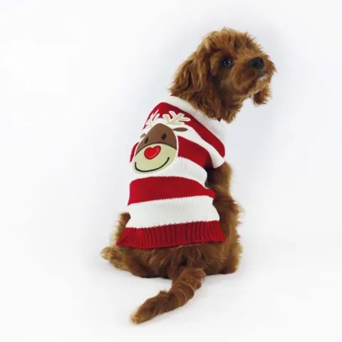 Stribet Julesweater med Rudolf