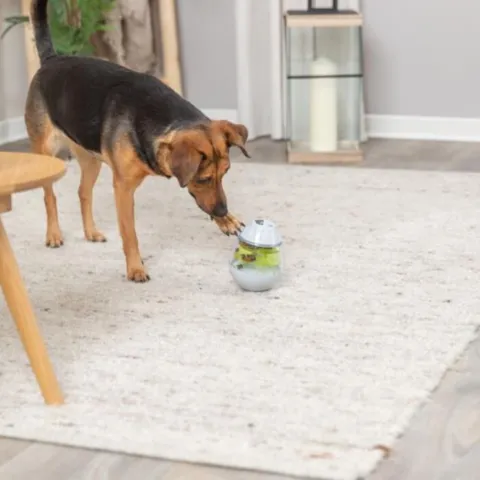 Aktivitetslegetøj til hunde fra Trixie