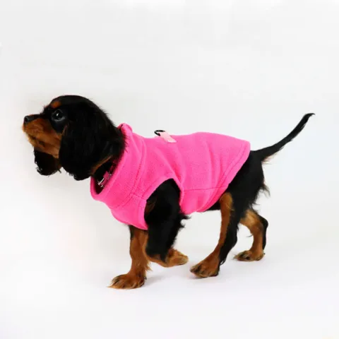 Ollipet Lumi Jacket