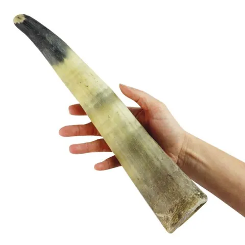 NATURBEN | Cattle Horn I Medium