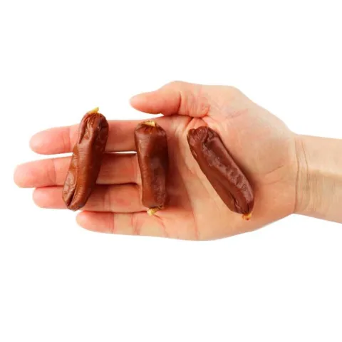 Companion Dry Sausage And