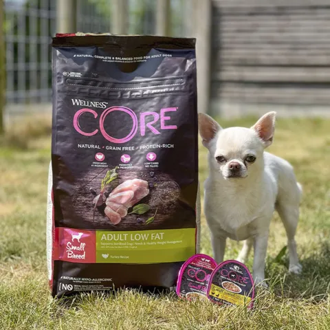 CORE Adult Low Fat