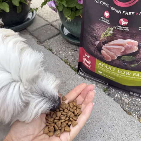 CORE Adult Low Fat - Små velduftende og knasende kroketter