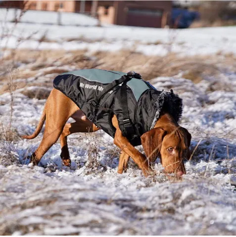My Rules Winter Jacket | M. Sele. Kuno bruger 4XL