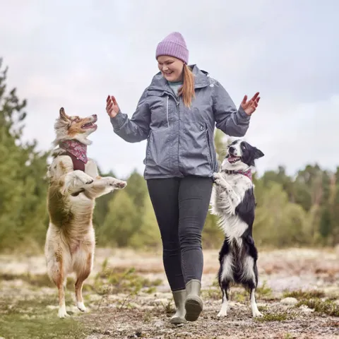 Hurtta Training Jacket ECO skaber den bedste oplevelse når I er ude at gå