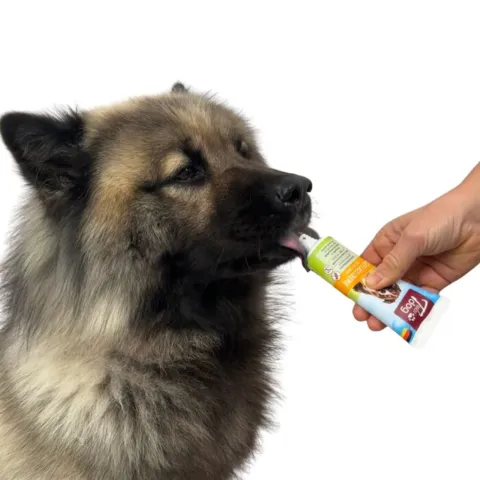 TubiDog Vådfoder er perfekt belønning til hundetræning