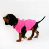 Ollipet Lumi Jacket