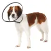 Smart halskrave til din hund god at have efter en operation