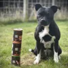 CORE 95 All Breed Vådfoder og Nellie