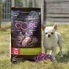 CORE Adult Low Fat