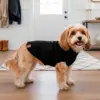 Dejlig sweater der er let at give på - perfekt til en kølig dag