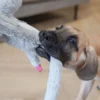 Dogman Elefant med rebskelet