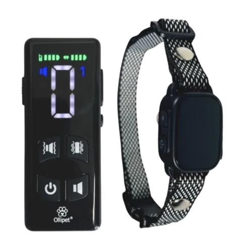 Remote dog trainer