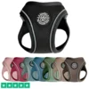 Ollipet for wagging tail step in hundesele fås i 8 flotte farver