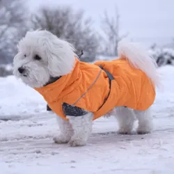 Hurtta Expedition Parka | Dækken i orange