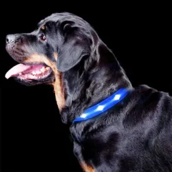 The Dots Collar | Halsbånd med 5-7 kraftige LEDs | Blå