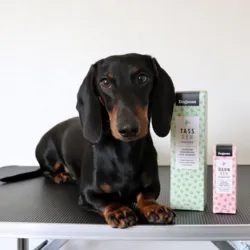 Poterengøring Mousse | Dogman