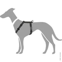 London Vario Rapid Hundesele