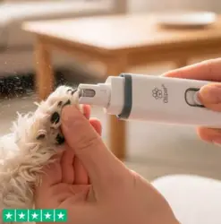Smart elektronisk klofil - gør ikke ondt på hunden!