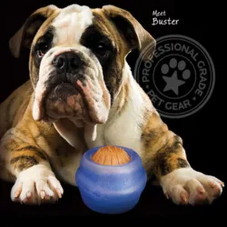 Starmark Everlasting Treatball