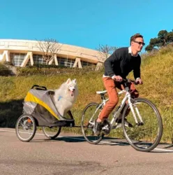 Her er cykeltilkobling vist med en Innopet Hercules 2.0 hundeklapvogn
