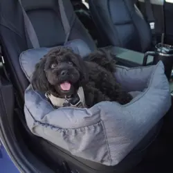 Ollipet Comfort Deluxe Autosæde passer ind i langt de fleste biler