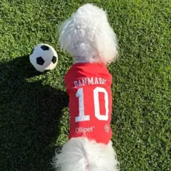 Sjov fodboldtrøje til hunde. Børnene vil elske at hunden også er i sin fodboldtrøje.
