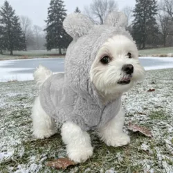 Ollipet BunnyPup dragt til de kolde dage
