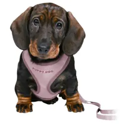 Trixie Puppy Dog hvalpesele og line | Lyselilla
