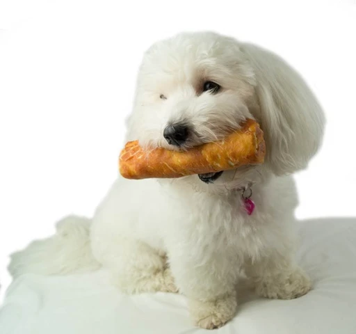 Denta Fun Chicken Chewing Big Rolls