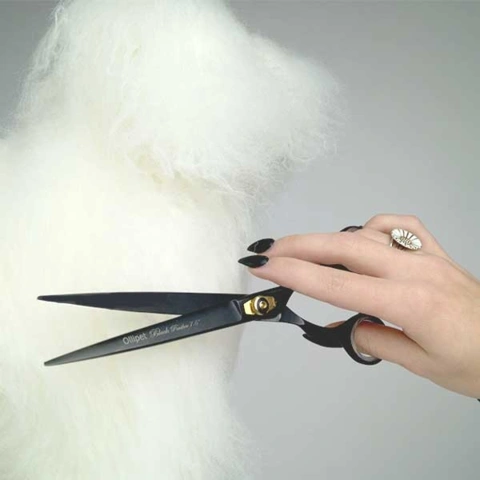 Ollipet Black panther groomingsaks