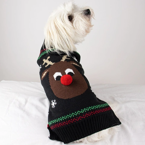 Julesweater til hund | M. rensdyr | Model bruger størrelse Large