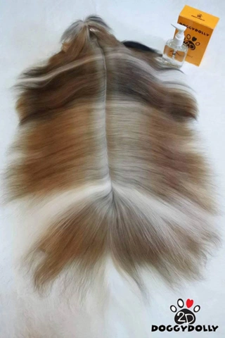 Doggy Dolly Silk coat