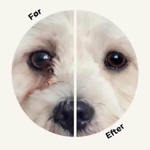 Før og efter billeder - Fjern effektivt tårestriber