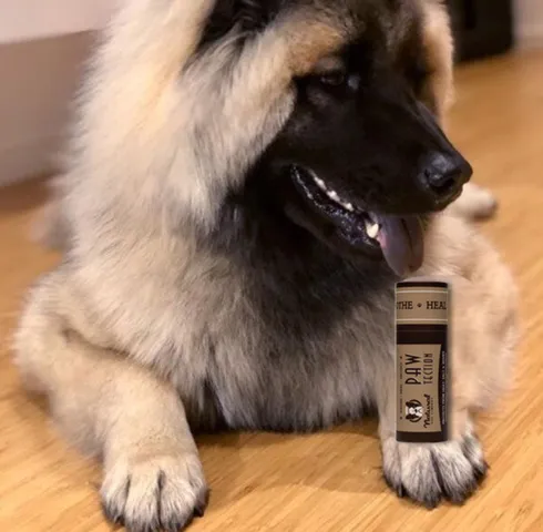PawTection Stick | Natural Dog Company