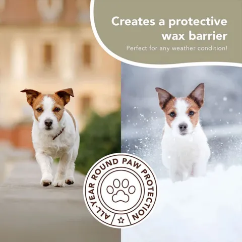 PawTection Stick | Natural Dog Company