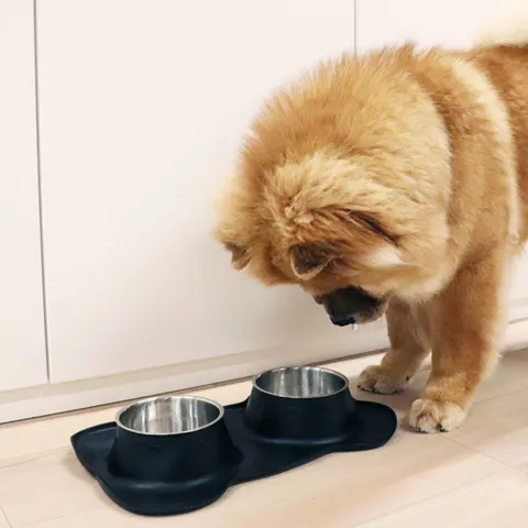 Ollipet Bone Bowls | Large