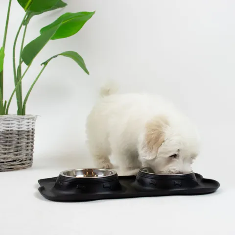 Ollipet Bone Bowls | small
