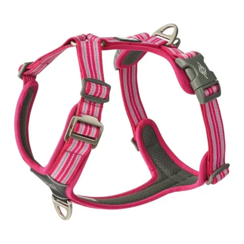 Hundesele fra Dog Copenhagen i en frisk pink farve