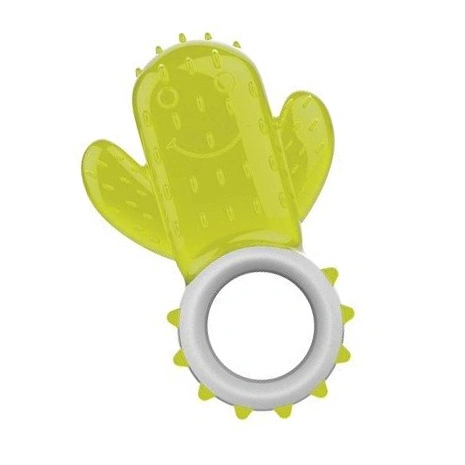 Cactus Chill Teething Toy| AFP