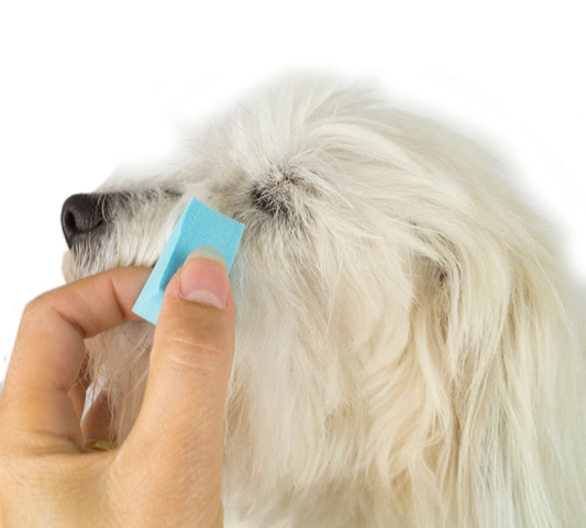 Ollipet eye sponge