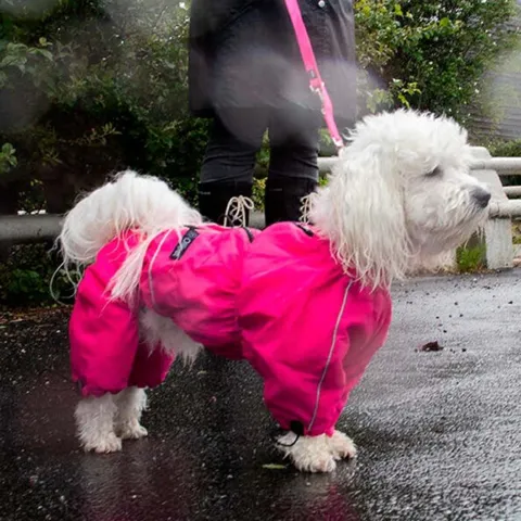Ollipet regndragt | Color Collection I Pink I Tidligere logo