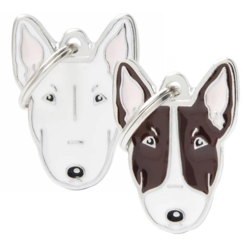 My Family | Bull Terrier