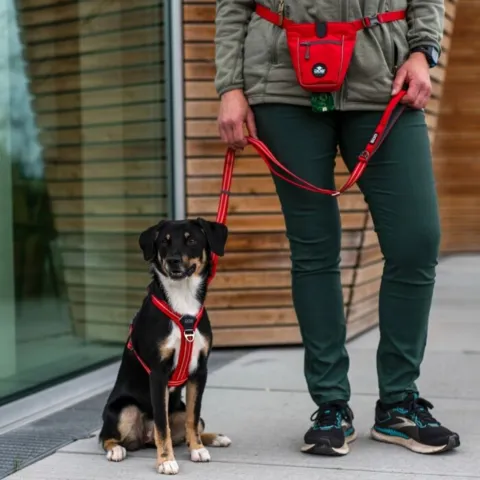 Hundesnoren er perfekt til både hundetræning og gåture