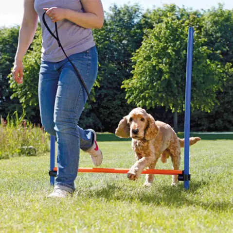 Trixie Agility Hurdle | Agility forhindring