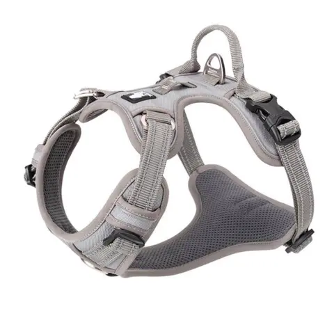 True Love Explosion Proof | Hundesele → Grå