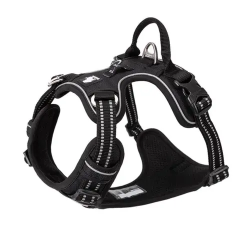 True Love Explosion Proof | Hundesele → Sort