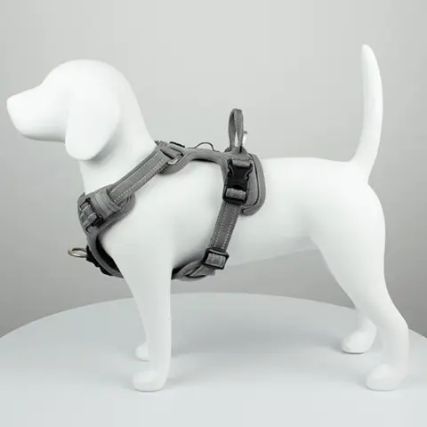 True Love Explosion Proof | Hundesele → Grå