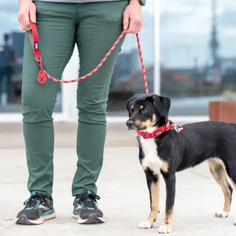 Urban Rope hundesnoren fås i mange farver